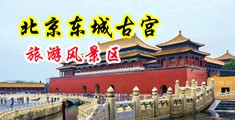 AAA级男女X进X出一级黄色动态图片中国北京-东城古宫旅游风景区
